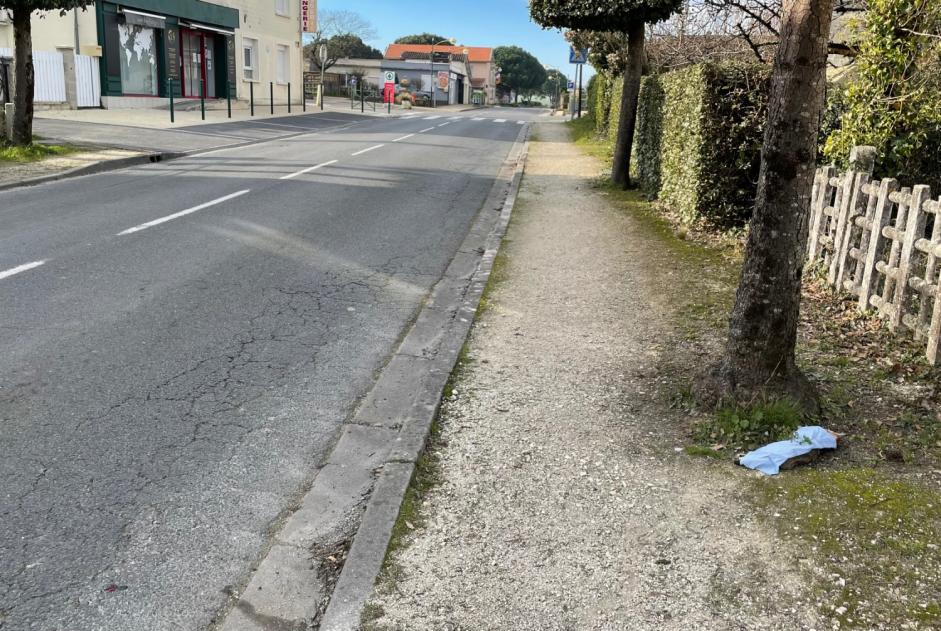 Fundmeldung Katze rassenmischung Unbekannt , Zwischen 9 und 12 Monaten Gauriac Frankreich